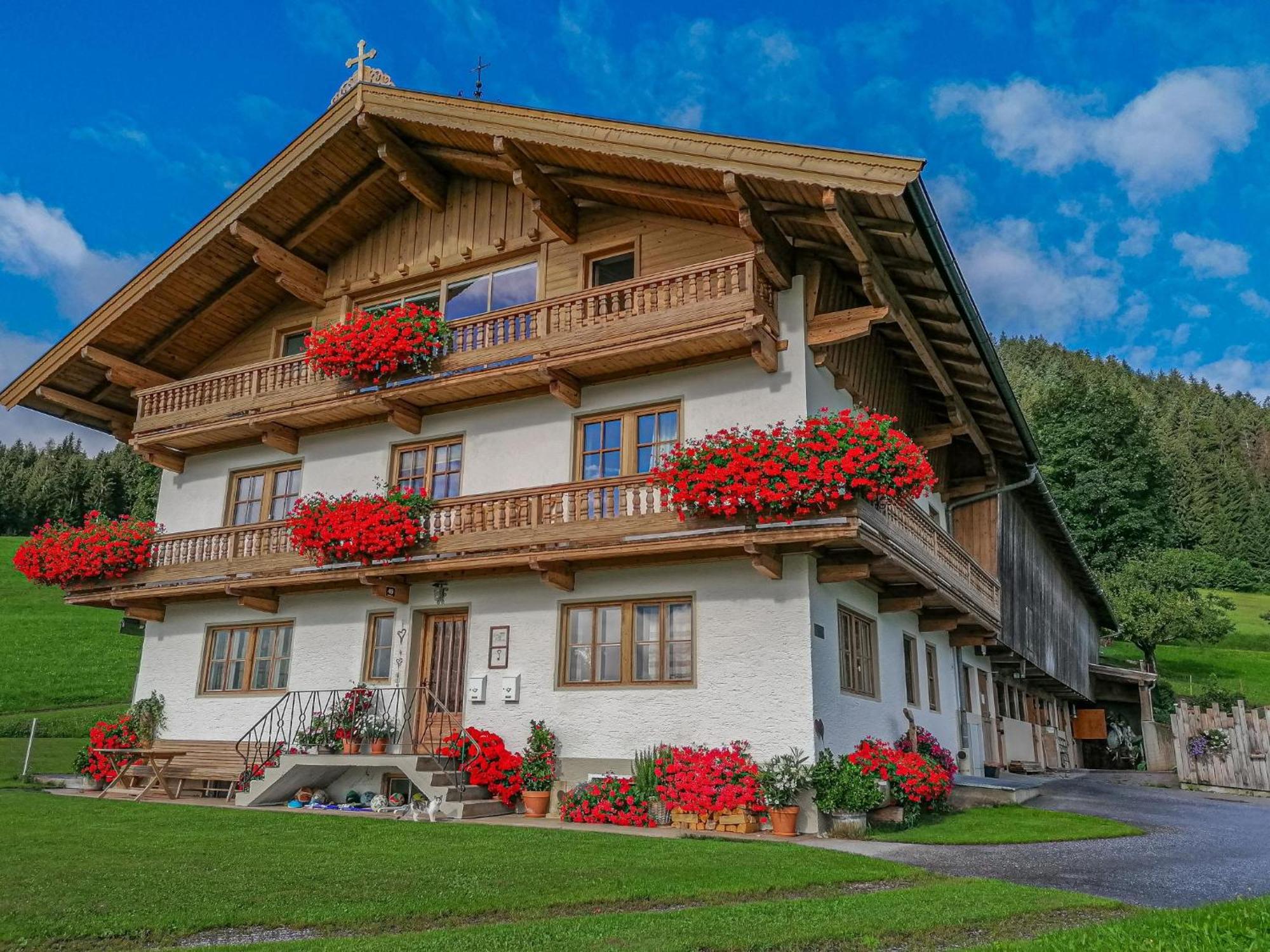 Flicklhof Xl Apartment Hopfgarten im Brixental Exterior foto
